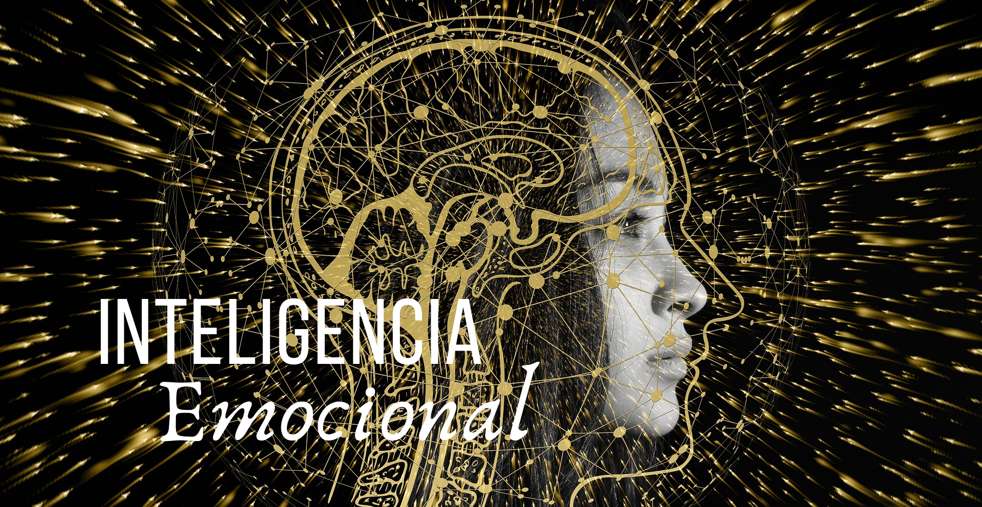 Inteligência Emocional: O Segredo para Sucesso